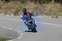 MICH0393