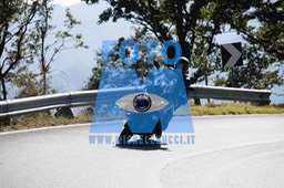MICH0394