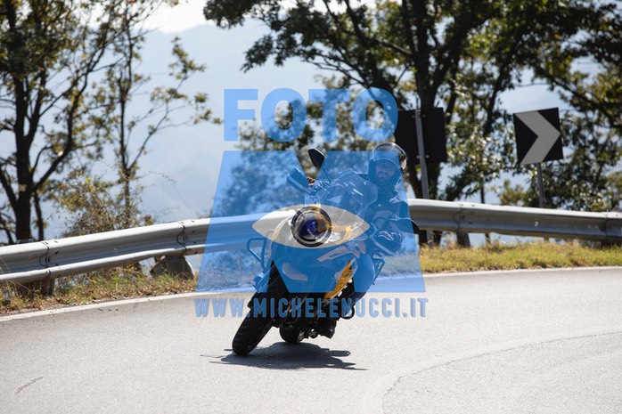 MICH0395