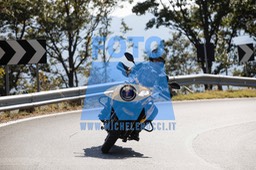 MICH0396