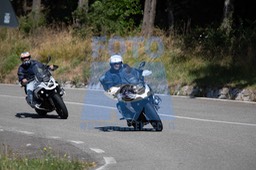 MICH0398