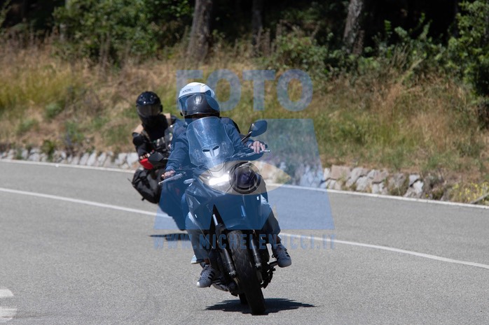 MICH0424