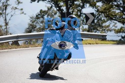 MICH0431