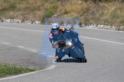 MICH0446