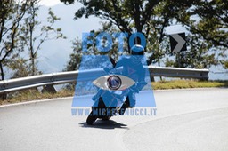 MICH0446