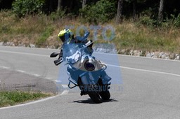 MICH0451