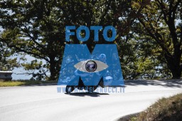 MICH0459
