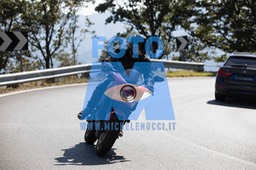 MICH0474