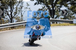 MICH0478