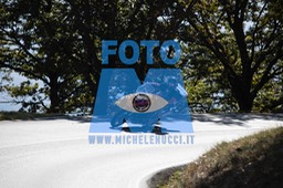 MICH0482