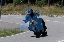MICH0494