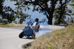 MICH0497
