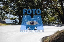MICH0501