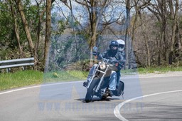 MICH0509