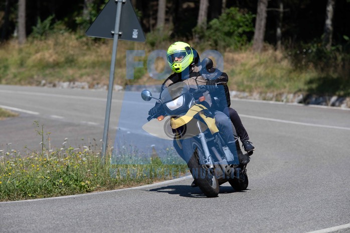 MICH0529