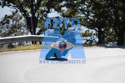 MICH0532