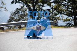 MICH0533