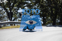 MICH0542