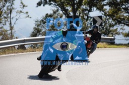 MICH0549