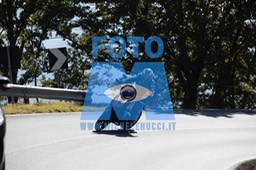 MICH0555