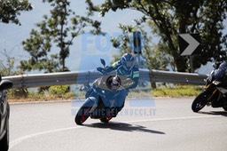 MICH0556