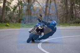 MICH0556