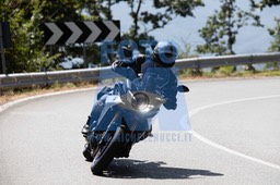 MICH0559