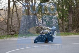 MICH0561