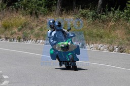 MICH0564