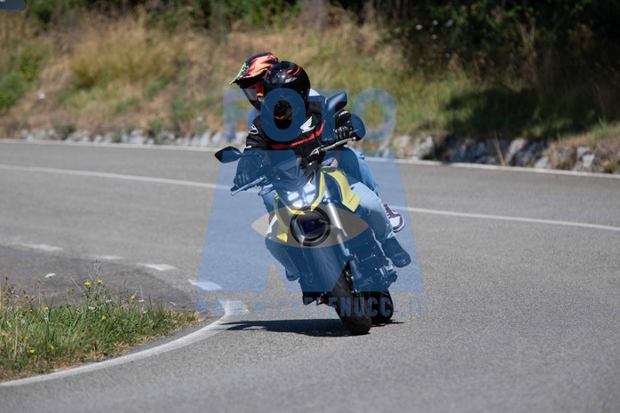 MICH0568