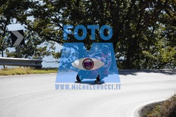 MICH0569