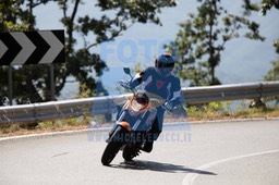 MICH0590