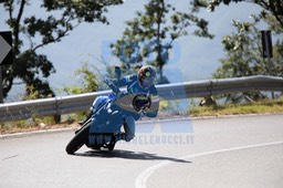 MICH0597