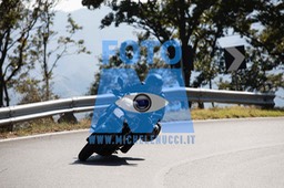 MICH0597
