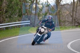MICH0599