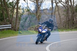 MICH0604