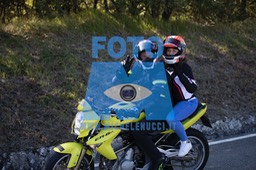 MICH0618