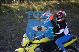 MICH0620