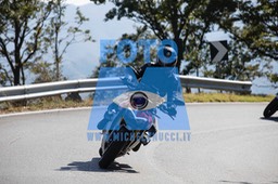 MICH0624