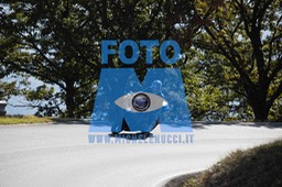 MICH0630