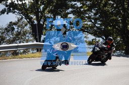 MICH0653