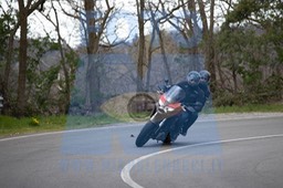 MICH0667