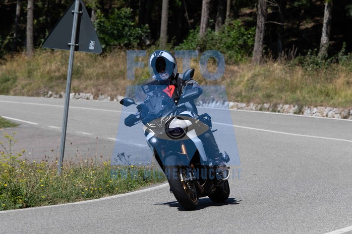 MICH0694