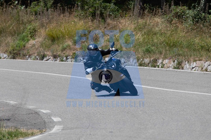 MICH0698