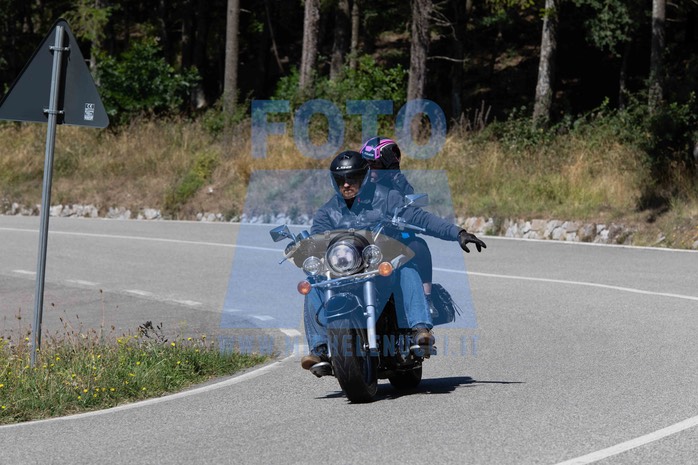 MICH0699