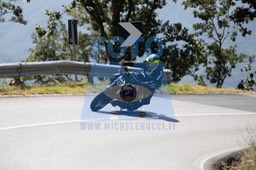 MICH0733