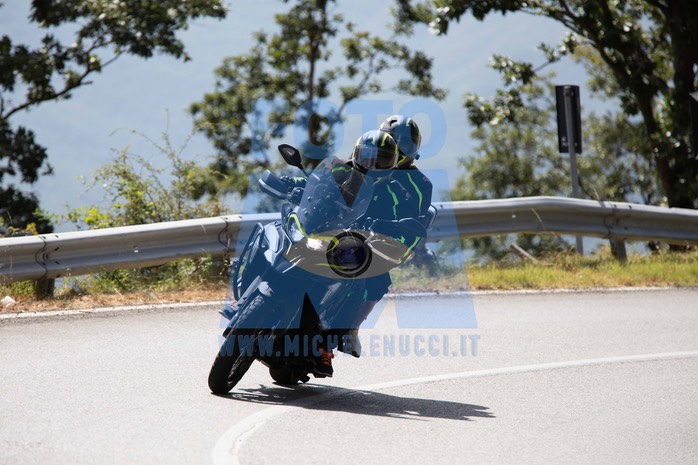 MICH0754