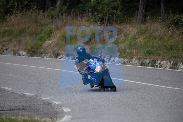 MICH0779