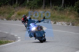 MICH0781