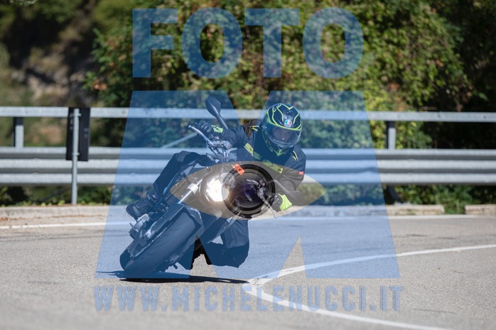 MICH0785